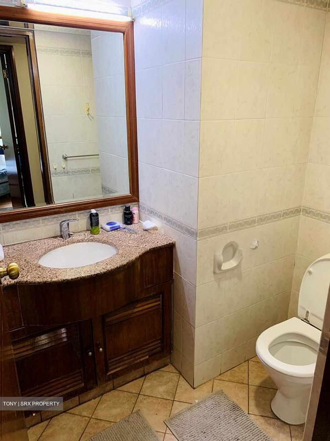 Hillbrooks (D23), Condominium #503578731